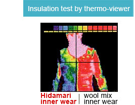 Insulation test